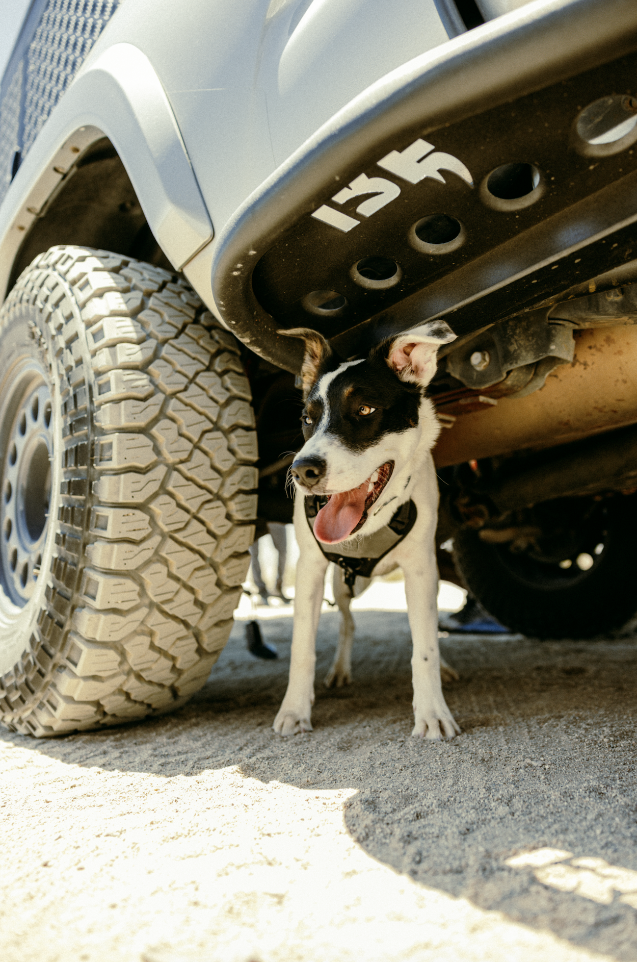 Toyota Tacoma overland build